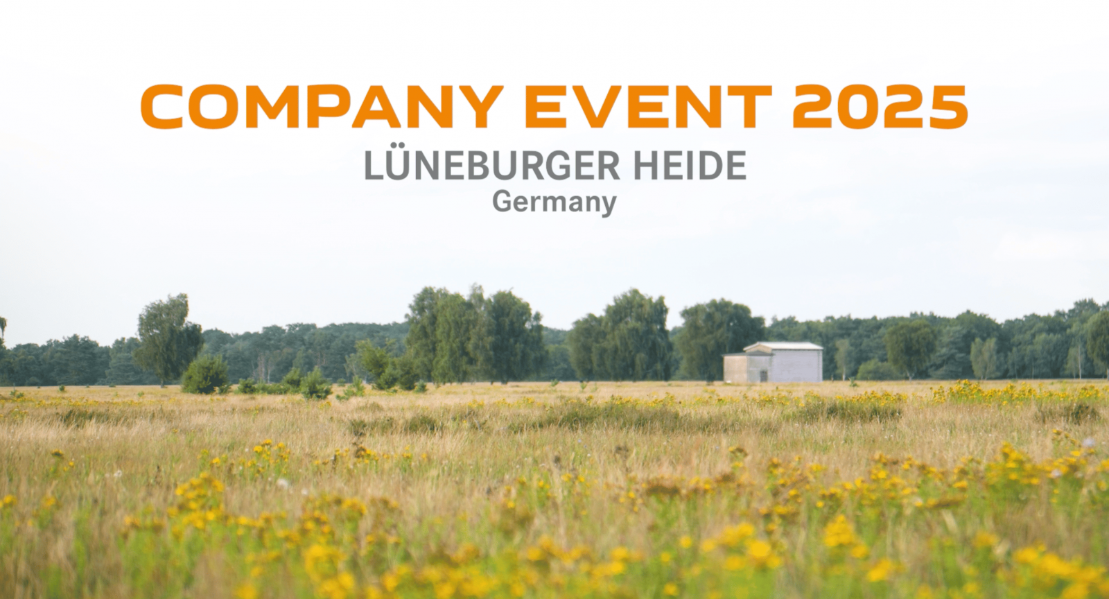Sommer-Teamevent 2025