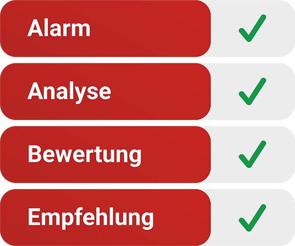 Vier Bereiche - Alarm, Analysem Bewertung & Empfehlung. Alle Bereiche tragen ein grünes Häkchen.